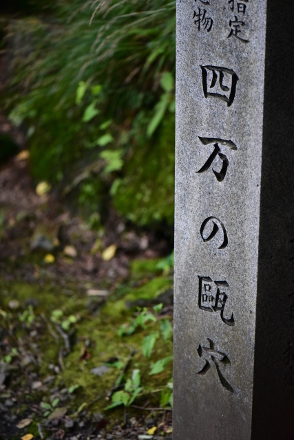 a0318033_21501788.jpg