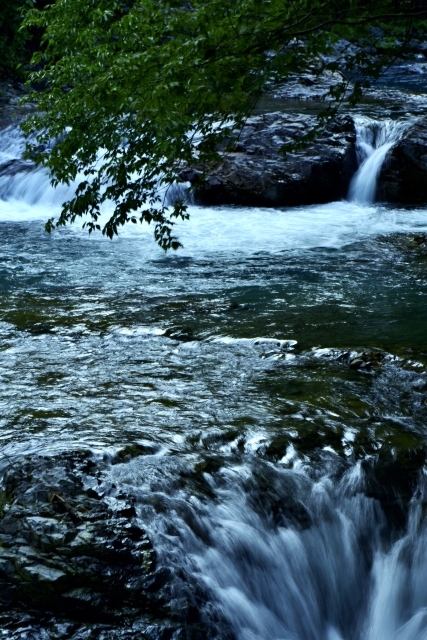 a0318033_21532981.jpg