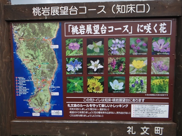 d0037233_09185970.jpg