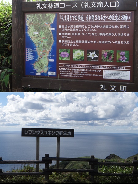 d0037233_10272800.jpg