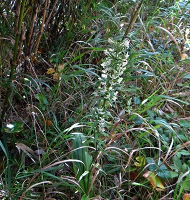d0037233_10285234.jpg