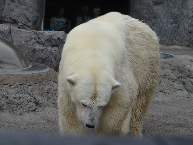 d0037233_10472400.jpg