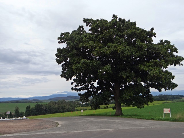 d0037233_10515441.jpg