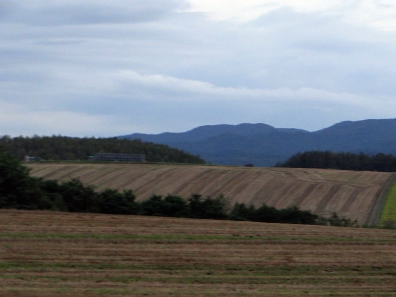 d0037233_10520918.jpg