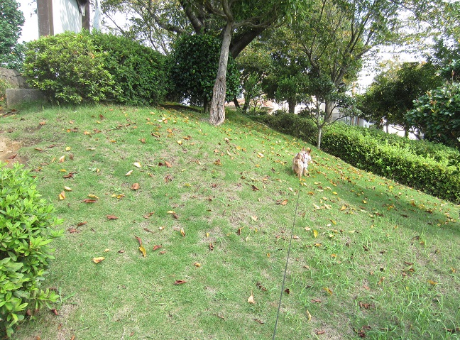 f0002833_1145794.jpg