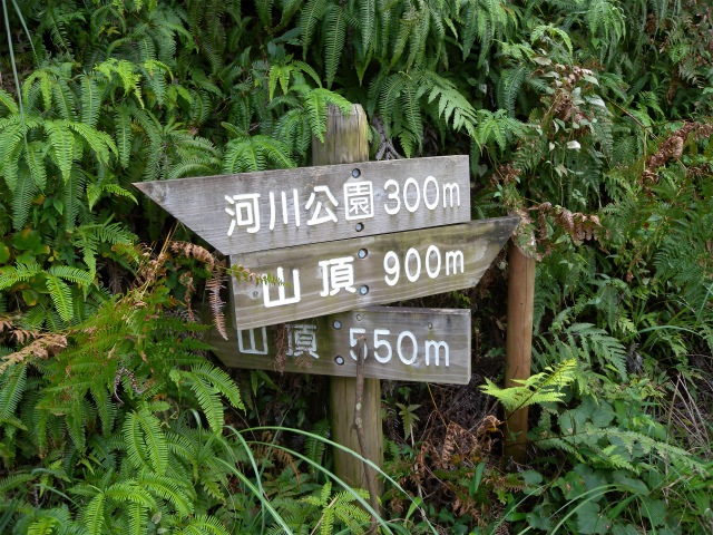 e0272335_18331148.jpg
