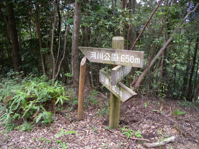 e0272335_18512919.jpg