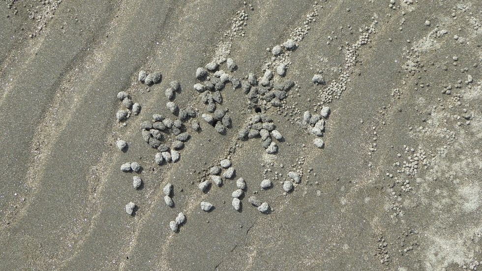 d0288144_07364943.jpg