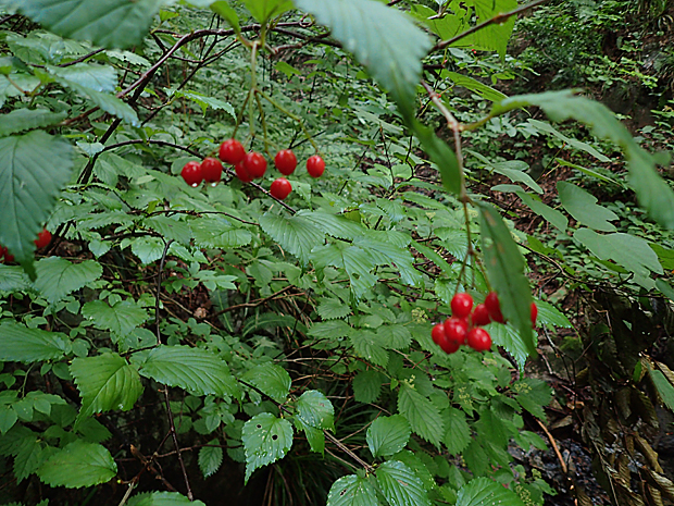 f0214649_5123193.jpg