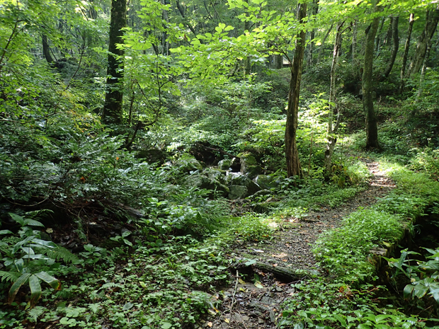 f0214649_5153167.jpg