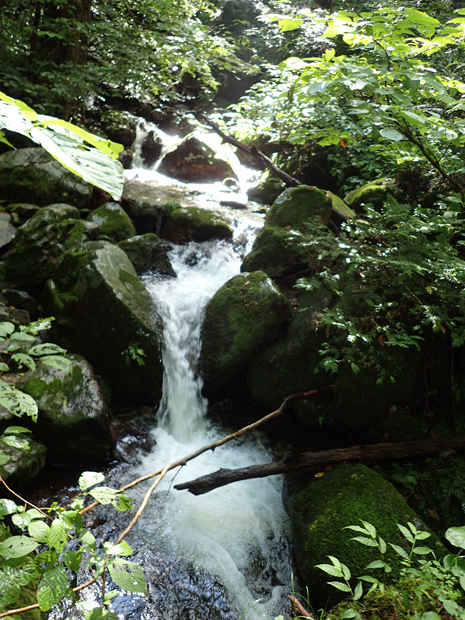 f0214649_5155243.jpg