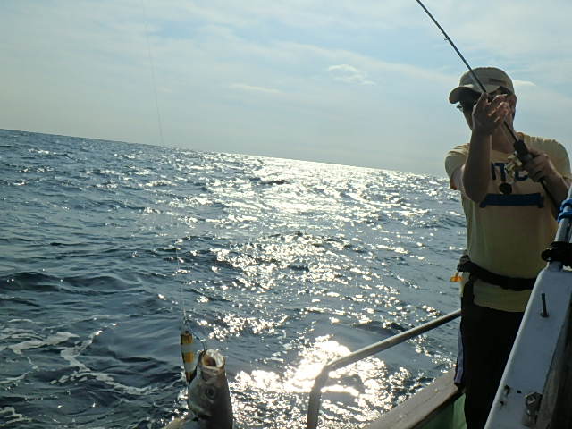 a0248152_17414321.jpg