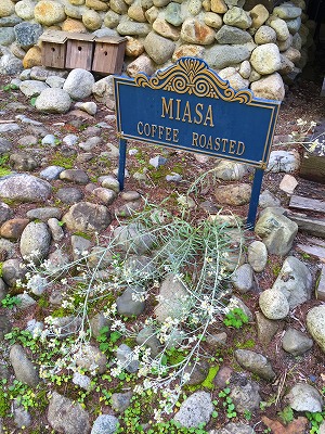 e0001860_1548614.jpg