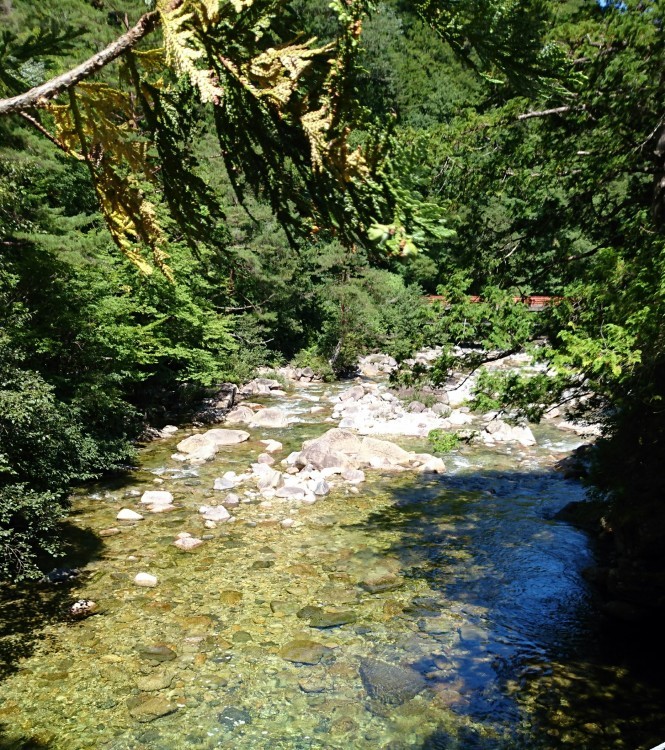 b0304662_21170155.jpg