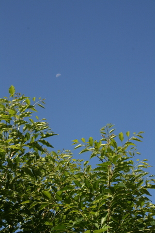 c0248269_15414473.jpg
