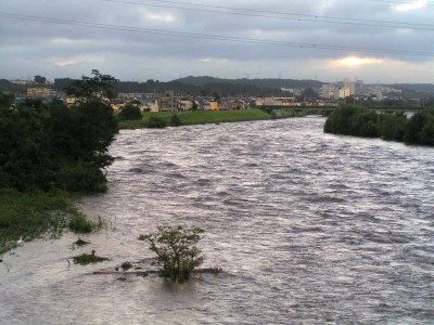 c0112172_050229.jpg
