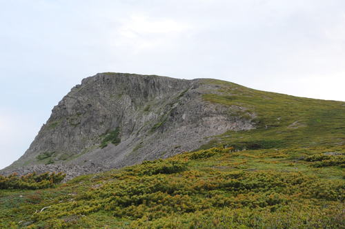 f0130376_19474788.jpg