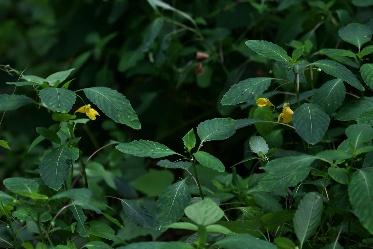 a0083081_13372811.jpg