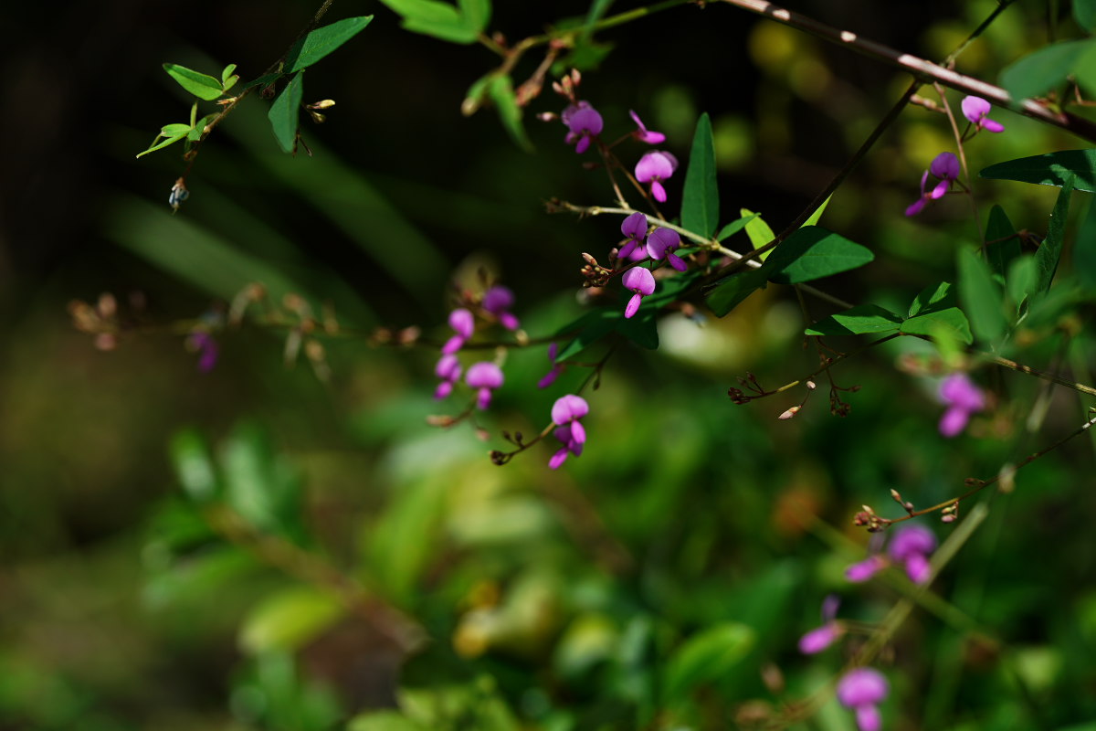 a0083081_13375649.jpg