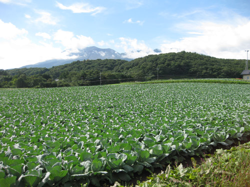 b0144082_23575956.jpg