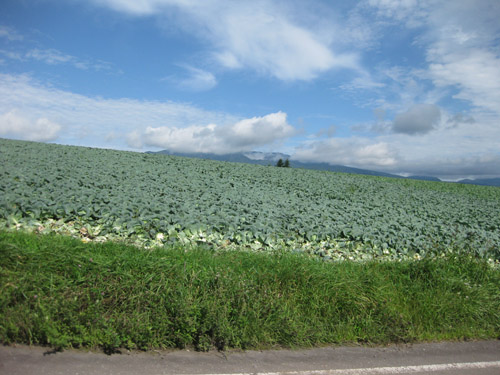 b0144082_23581484.jpg