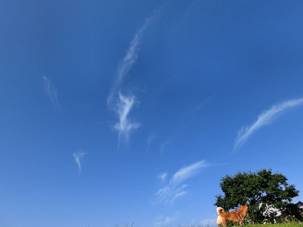 f0345284_18325150.jpg