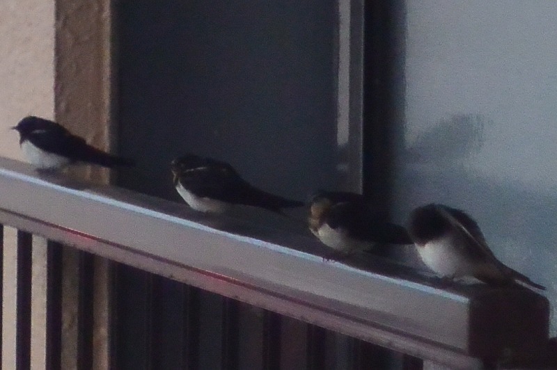 b0207491_12521815.jpg
