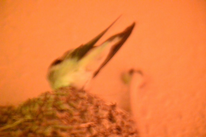 b0207491_12522966.jpg