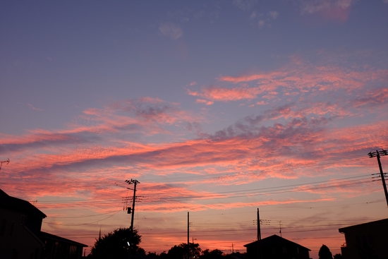 f0113108_8391665.jpg