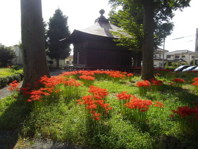 e0239312_21302982.jpg