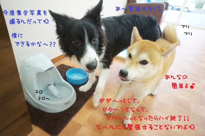 d0220513_16124948.jpg