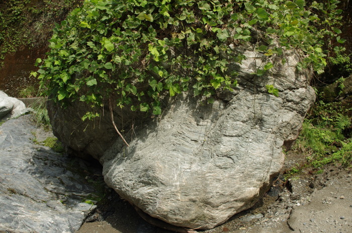 f0195813_08325820.jpg