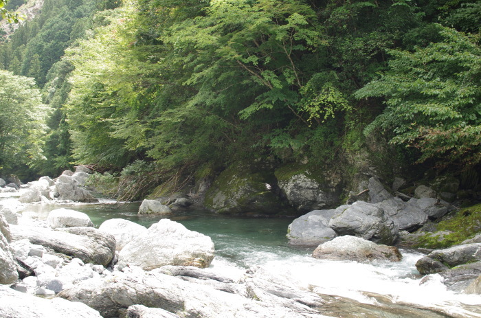 f0195813_08332616.jpg
