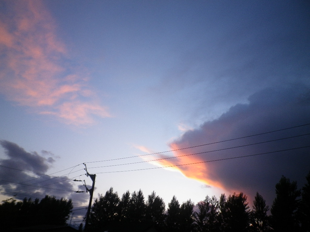 e0052716_10315219.jpg