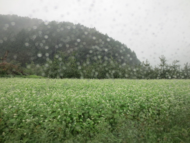 f0248616_09095864.jpg