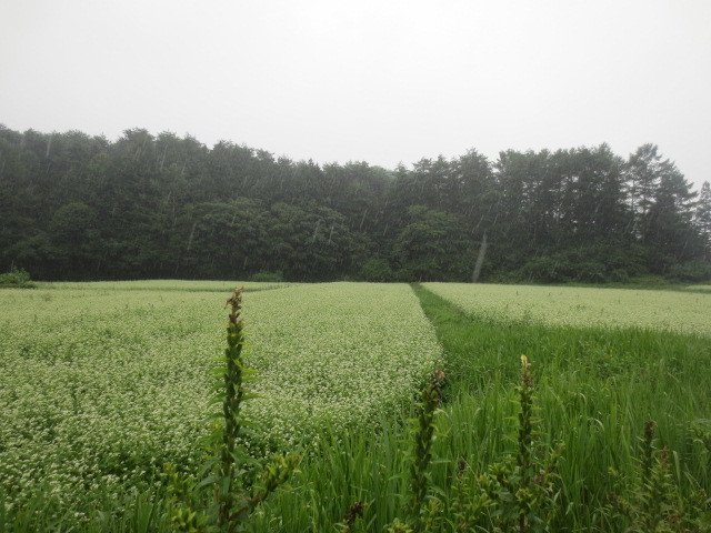 f0248616_09105447.jpg