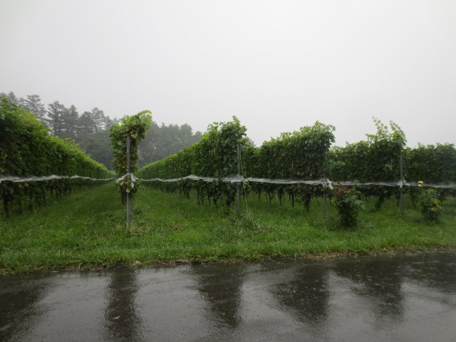 f0248616_09120451.jpg