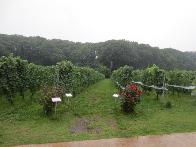 f0248616_09122551.jpg