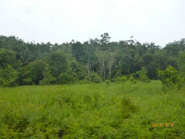 e0047322_194420.jpg