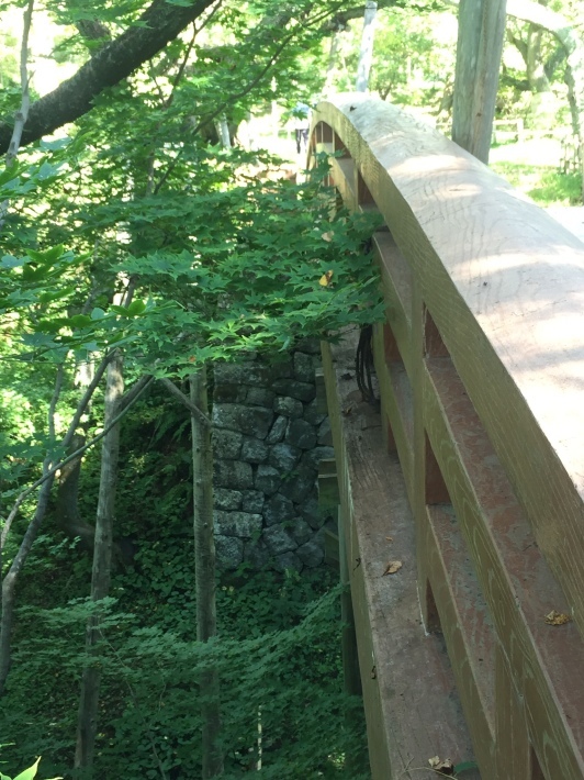 c0087023_11195817.jpg