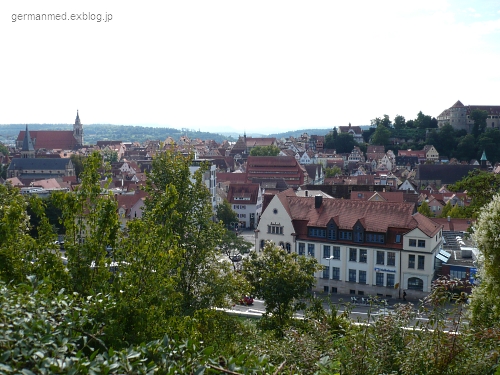 d0144726_5445246.jpg