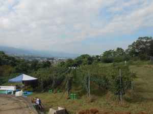 a0095931_9482227.jpg