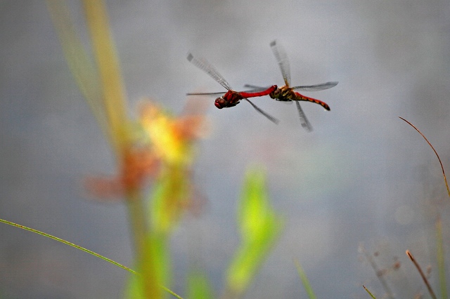 a0242438_1844472.jpg