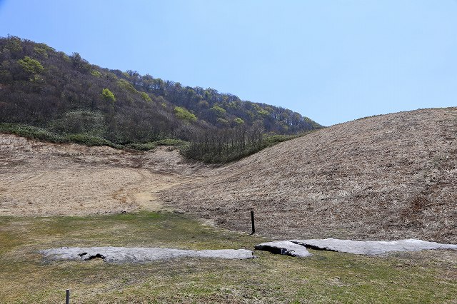 a0242438_18465780.jpg