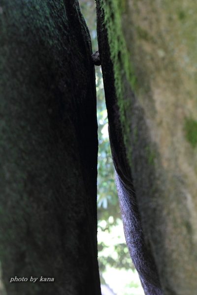 c0332548_22433914.jpg