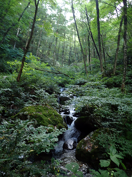 f0214649_4135048.jpg