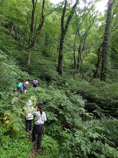 f0214649_419518.jpg