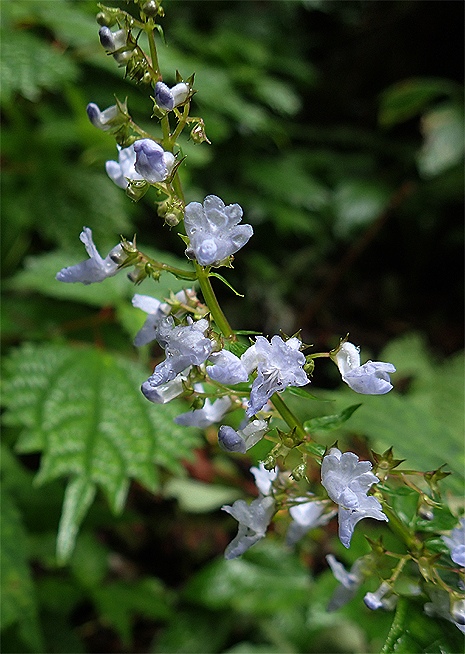 f0214649_4225580.jpg