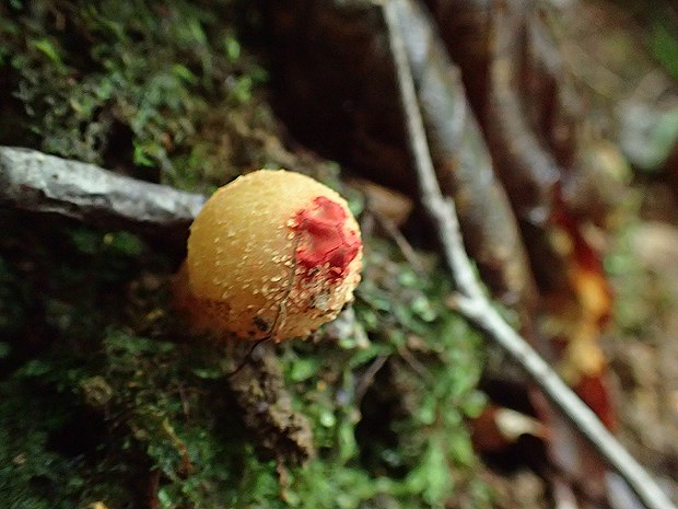 f0214649_454860.jpg