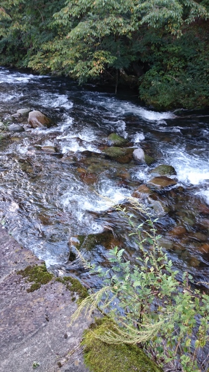 b0304662_14171465.jpg